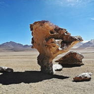 The Salvador Dali desert or simply Dali desert is a desert in southwestern Bolivia, located south of the department of Potosi within the Eduardo Abaroa Andean Fauna National Reserve