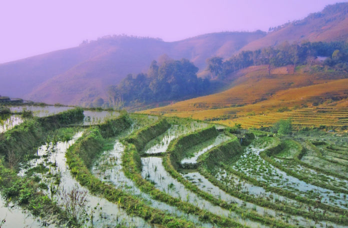 The rice terraces , The most beautiful rice terraces are found in the Lao Chai, Ta Van, Y Linh Ho, Cat Cat and Ta Phin valleys