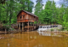Rikard’s Mill Historical Park is nestled in the piney woods along the banks of the picturesque Flat Creek