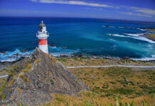 Climbing the lighthouse, you can enjoy a beautiful bird's eye view of Palliser Bay, watch the fur seal games of one of the largest colonies in the world, and also visit a small fishing village located near the lighthouse.