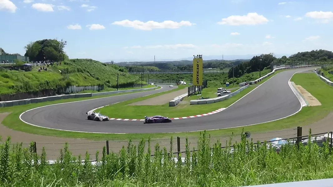 Wata0929, CC BY-SA 4.0 , via Wikimedia Commons