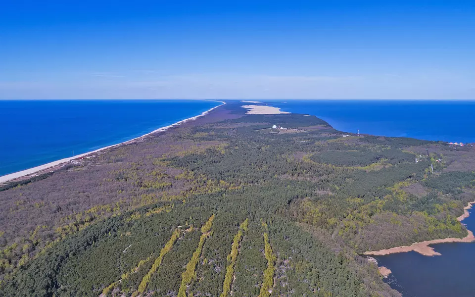 By A.Savin (WikiCommons) - Own work, FAL, https://commons.wikimedia.org/w/index.php?curid=59186184