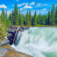 Athabasca Falls are a series of waterfalls located in Jasper National Park