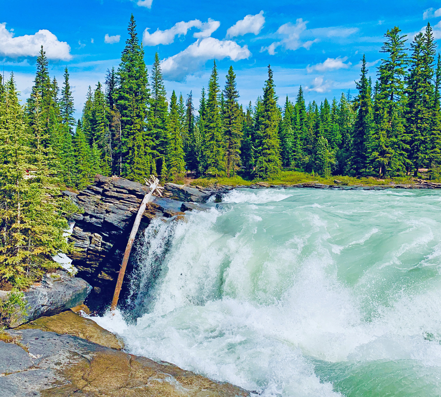 Athabasca Falls are a series of waterfalls located in Jasper National Park