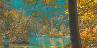 The Blausee,  literally meaning  “Blue Lake”, is a mountain lake in the Bernese