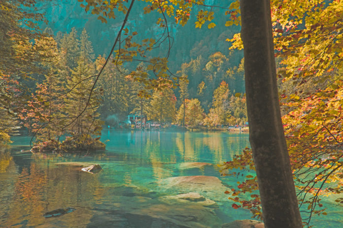 The Blausee,  literally meaning  “Blue Lake”, is a mountain lake in the Bernese