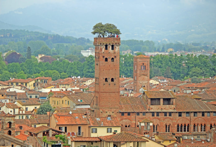 Guinigi Tower , Lucca, Tuscany