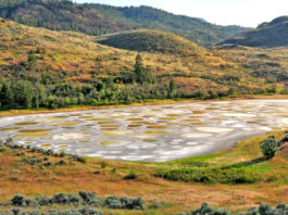 Spotted Lake is an alkaline salty endorheic basin located in British Columbia, Canada