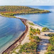 Vieques is a Caribbean island in Puerto Rico