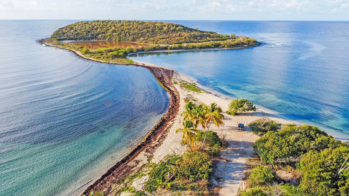 Vieques is a Caribbean island in Puerto Rico
