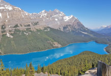 Peyto Lake is a glacial lake located in Banff National Park