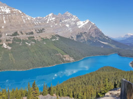 Peyto Lake is a glacial lake located in Banff National Park