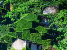 Houtouwan is an abandoned fishing village on the northern shore of Shengshan Island in China