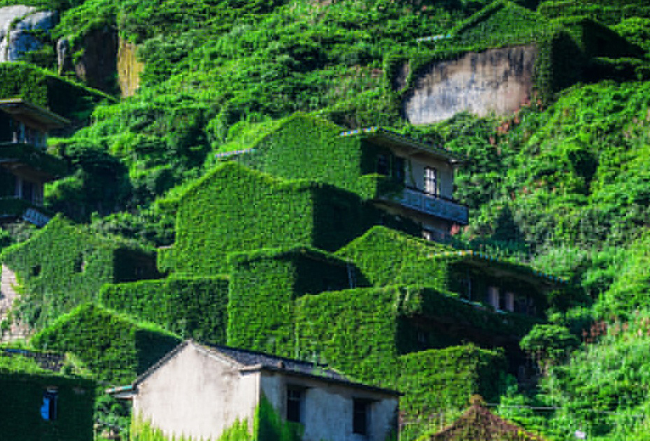 Houtouwan is an abandoned fishing village on the northern shore of Shengshan Island in China