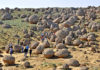 One of the unique natural places in Kazakhstan is the Valley of stone pearls, located in the Torysh tract