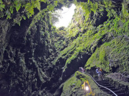 The Algar do Carvão is an ancient lava tube or volcanic vent located in the central part of the island of Terceira in the Portuguese archipelago of the Azores.