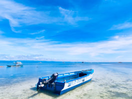 Panglao is an island in the Bohol Sea, located in the Central Visayas region of the Visayas island group, in the south-central Philippines.