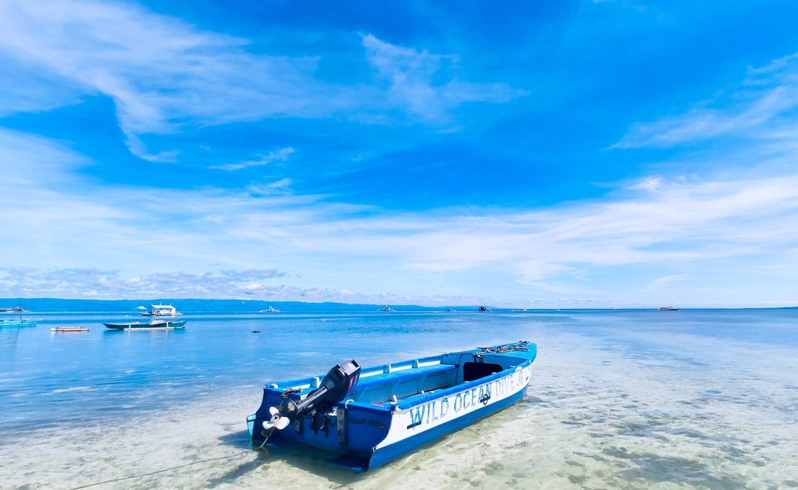 Panglao is an island in the Bohol Sea, located in the Central Visayas region of the Visayas island group, in the south-central Philippines.