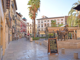 The Plaza de la Romanilla, also known as Plaza de las Palmeras,is an urban space- busy square that is located in the historical and traditional center of the city of Granada