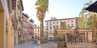 The Plaza de la Romanilla, also known as Plaza de las Palmeras,is an urban space- busy square that is located in the historical and traditional center of the city of Granada