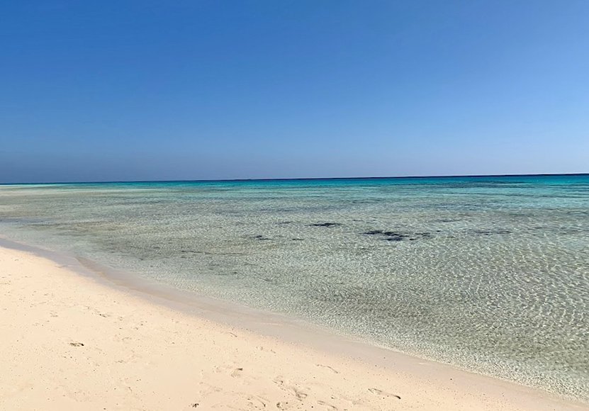Sharm el-Luli Bay, also known as Sharm el-Luliya or Ras Hankorab Beach, is located about 56 kilometers on the Egyptian Red Sea coast south-southeast of Marsā ʿAlam town and is part of Wādī el Gimāl Ḥamāṭa National Park.