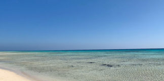 Sharm el-Luli Bay, also known as Sharm el-Luliya or Ras Hankorab Beach, is located about 56 kilometers on the Egyptian Red Sea coast south-southeast of Marsā ʿAlam town and is part of Wādī el Gimāl Ḥamāṭa National Park.