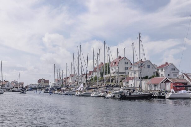 ArildV, CC BY-SA 4.0 , via Wikimedia Commons