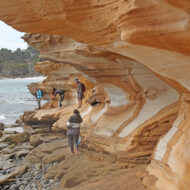 Maria Island in Tasmania is home to fascinating geology, including the famous Triassic limestone of the Painted Cliffs.