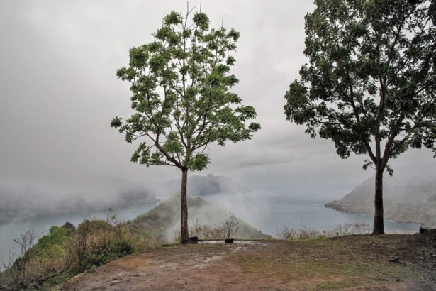 Nuku Hiva is the largest of the Marquesas Islands in French Polynesia, an overseas country of France in the Pacific Ocean.