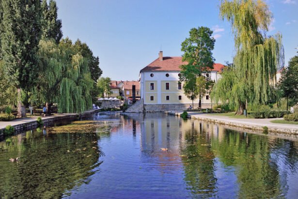 Tapolca is a small city in western Hungary in the Veszprém County.