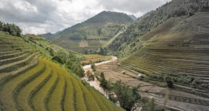 The Mù Cang Chải rice terraces located in Mù Cang Chải , a rural district in Yên Bái Province, northwest region of Vietnam.