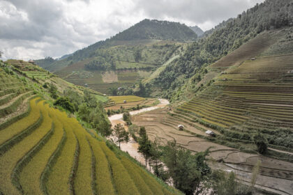 The Mù Cang Chải rice terraces located in Mù Cang Chải , a rural district in Yên Bái Province, northwest region of Vietnam.