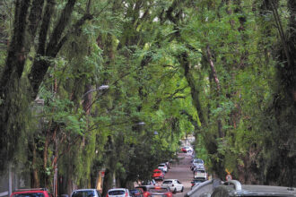 Rua Gonçalo de Carvalho is a street located in the Independência neighborhood of the city of Porto Alegre, capital of the Brazilian state of Rio Grande do Sul.