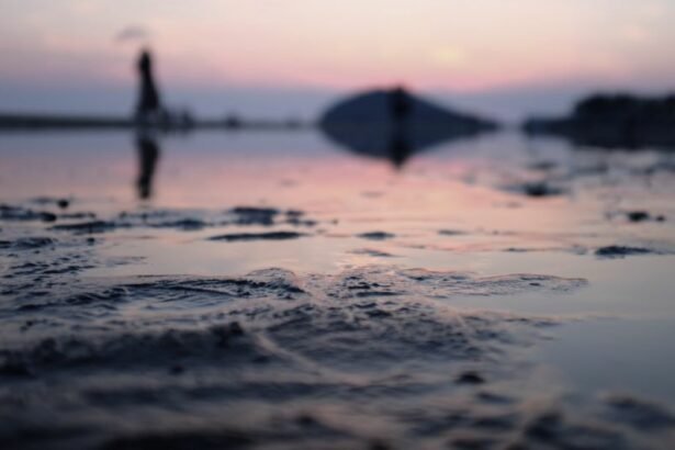 The Chichibugahama Beach is a 1km long sandy beach running north to south, located in Nio-cho, Mitoyo City, Kagawa Prefecture , Japan.
