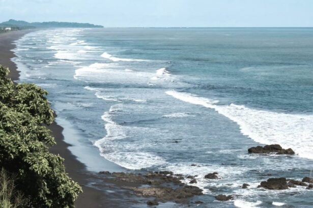 Playa Hermosa, located in Puntarenas, lies just five kilometers south of Jaco and is one of the best places for professional surfing, famous among both Costa Rican and foreign athletes.