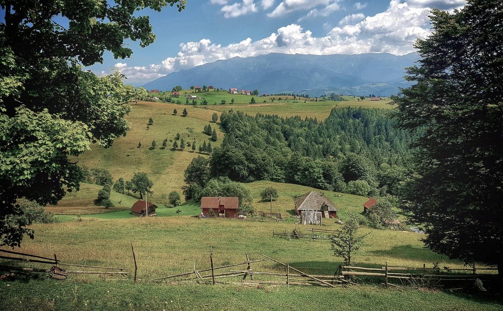 Şirnea is a village in Fundata commune in Brașov county, Transylvania, Romania.