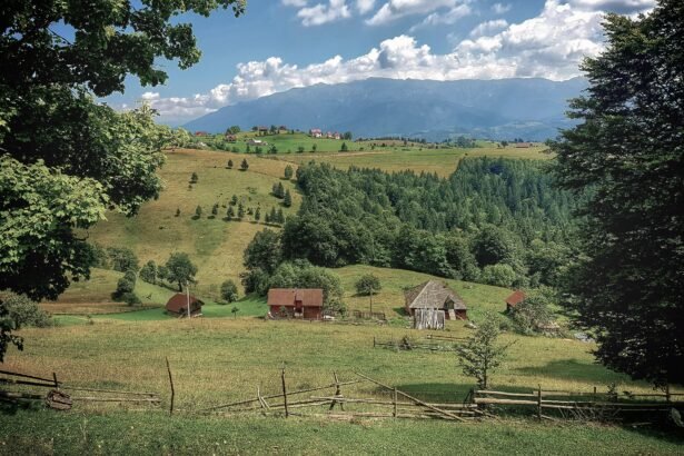 Şirnea is a village in Fundata commune in Brașov county, Transylvania, Romania.