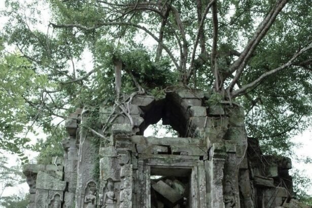 Beng Mealea is a Hindu temple ruin from the Angkor Wat period, in Svaileo District, Siem Reap Province, Cambodia.
