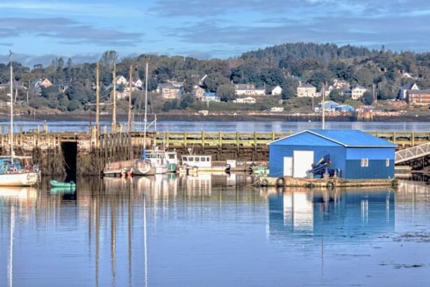 Campobello is a Canadian island located at the entrance to Passamaquoddy Bay, next to the entrance to Cobscook Bay, and within the Bay of Fundy.