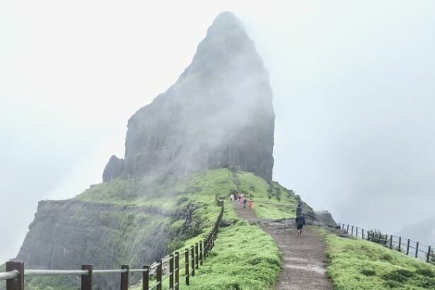Dhodap is a fort in the Nashik district in the state of Maharashtra , in India.