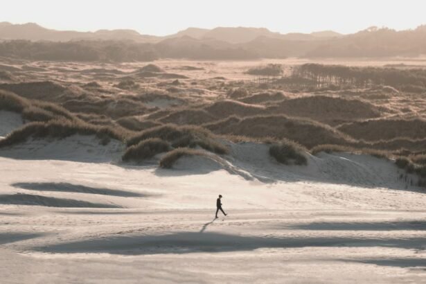 Råbjerg Mile is a moving coastal dune located between Skagen and Frederikshavn,in North Jutland, Denmark.