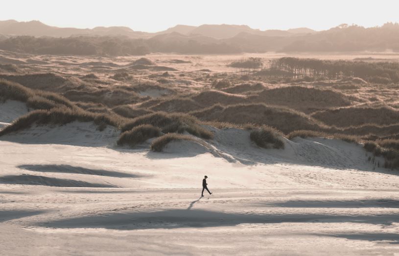 Råbjerg Mile is a moving coastal dune located between Skagen and Frederikshavn,in North Jutland, Denmark.