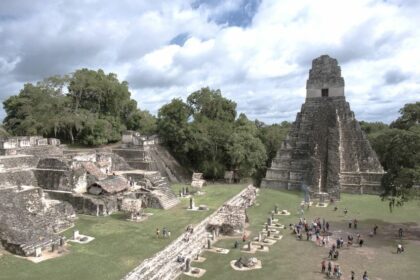 Tikal is the largest of the ancient ruined cities of the Mayan civilization. Tikal is located in Guatemala in the department of Petén.