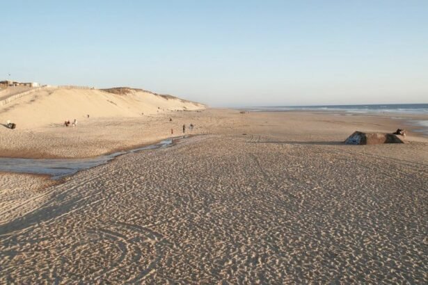 Biscarrosse Plage is a busy suburb -resort in the Landes department (Aquitaine region). in southwestern France.