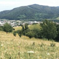 Gura Humorului is a small town in the county of Suceava , in the historic southern Bucovina region , in northeastern Romania.