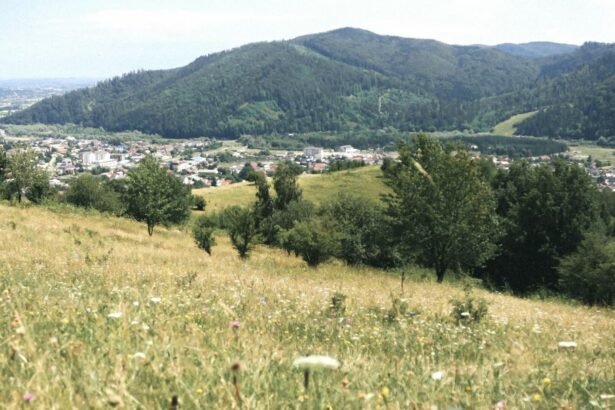 Gura Humorului is a small town in the county of Suceava , in the historic southern Bucovina region , in northeastern Romania.