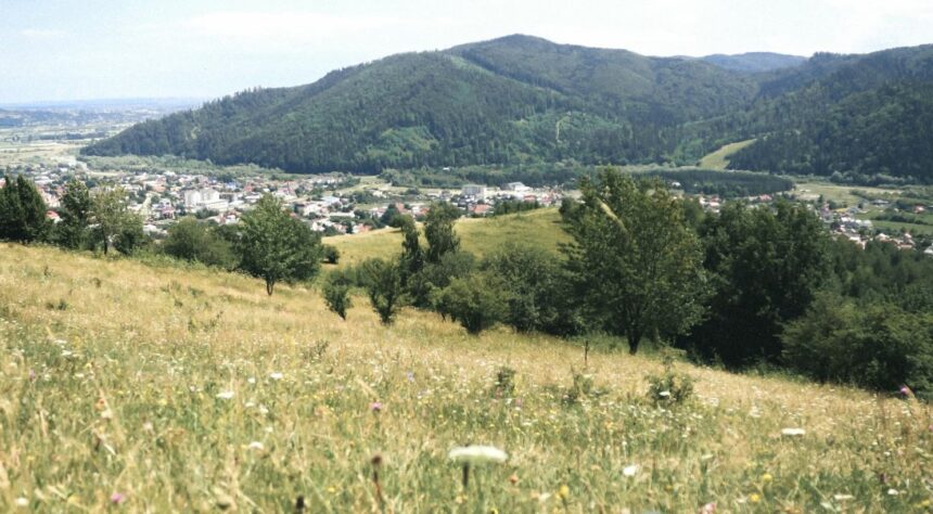 Gura Humorului is a small town in the county of Suceava , in the historic southern Bucovina region , in northeastern Romania.