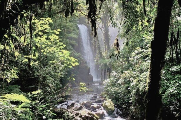 La Paz Waterfall is a waterfall north of Alajuela in the Sarapiquí district of the central canton of the province of Alajuela in central Costa Rica.