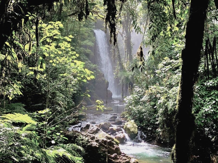 La Paz Waterfall is a waterfall north of Alajuela in the Sarapiquí district of the central canton of the province of Alajuela in central Costa Rica.