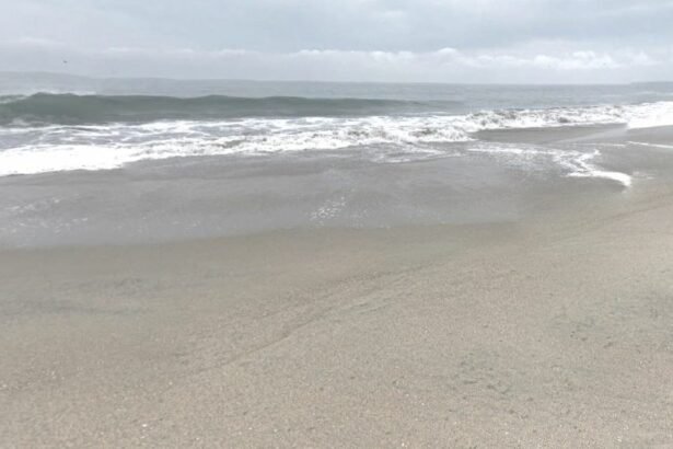 Punta Rocas is a beach in the Punta Negra district, one of the 43 districts of the Province of Lima, Peru.